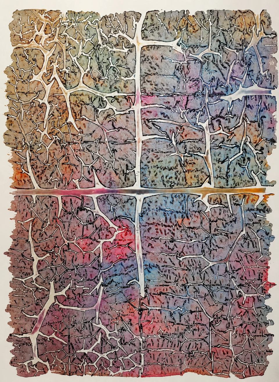 ASO-0472, שם קטלוגי בארכיון: ארבע אדמות, Augusto Salvatore Oppo